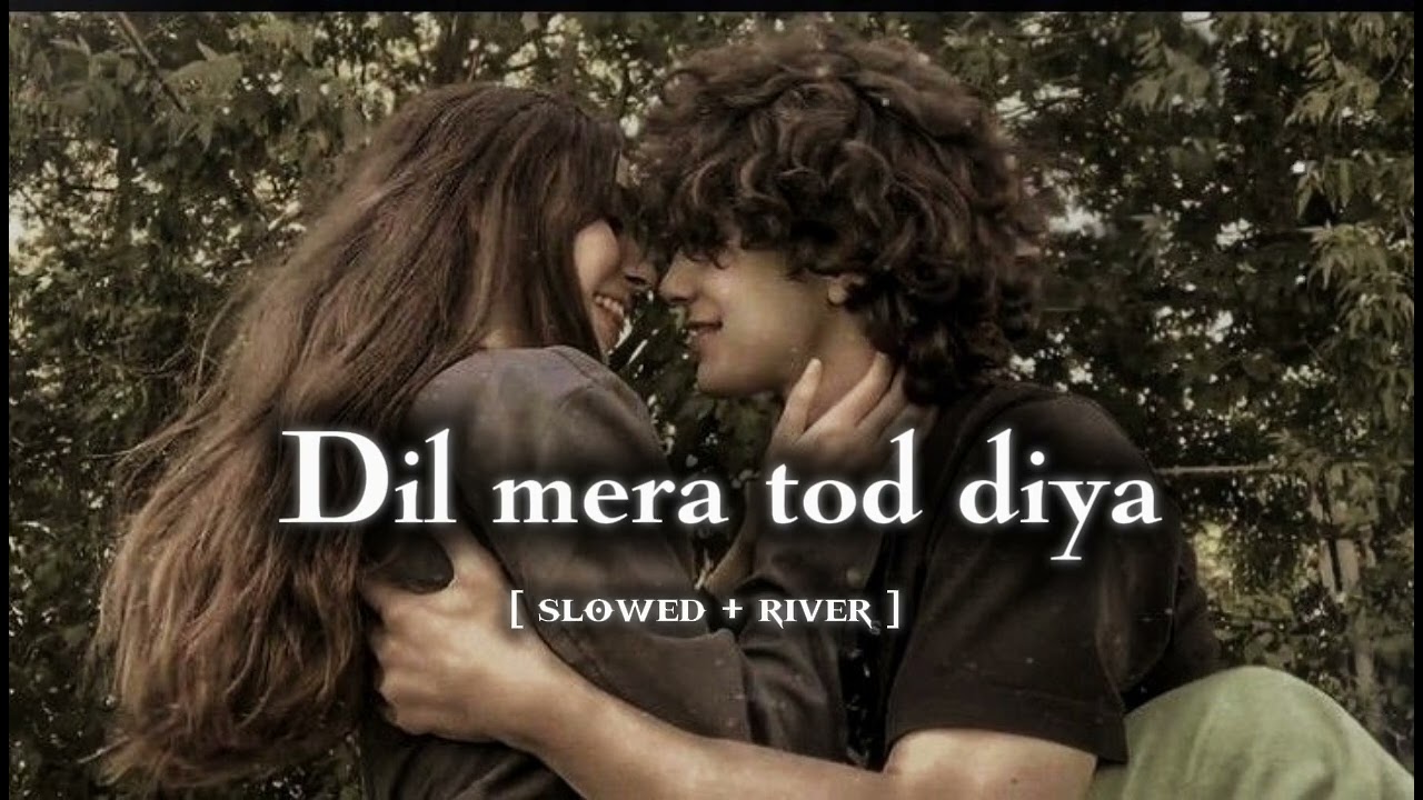 Dil mere tod diya || lofi song