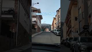 #mataelpino Madrid 2026