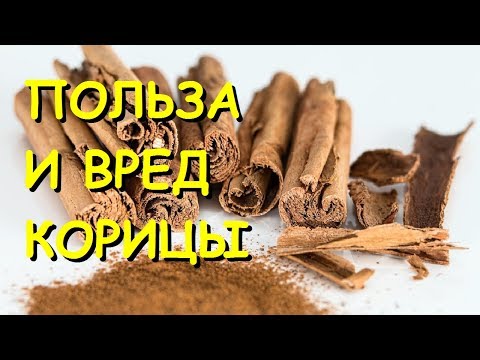 Корица  Полезные свойства и противопоказания