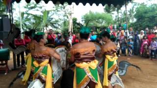 Turonggo Mudo Purwo Budoyo (TMPB) edisi Tegal Sari Girimulyo