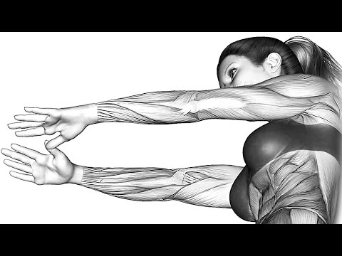 6 Minute Arm Workout for Women
