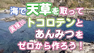 海で採ってきたテングサ（天草）を使ってゼロから美味しいトコロテンと餡蜜を作ろう！【無添加本格レシピ！特選男の料理】