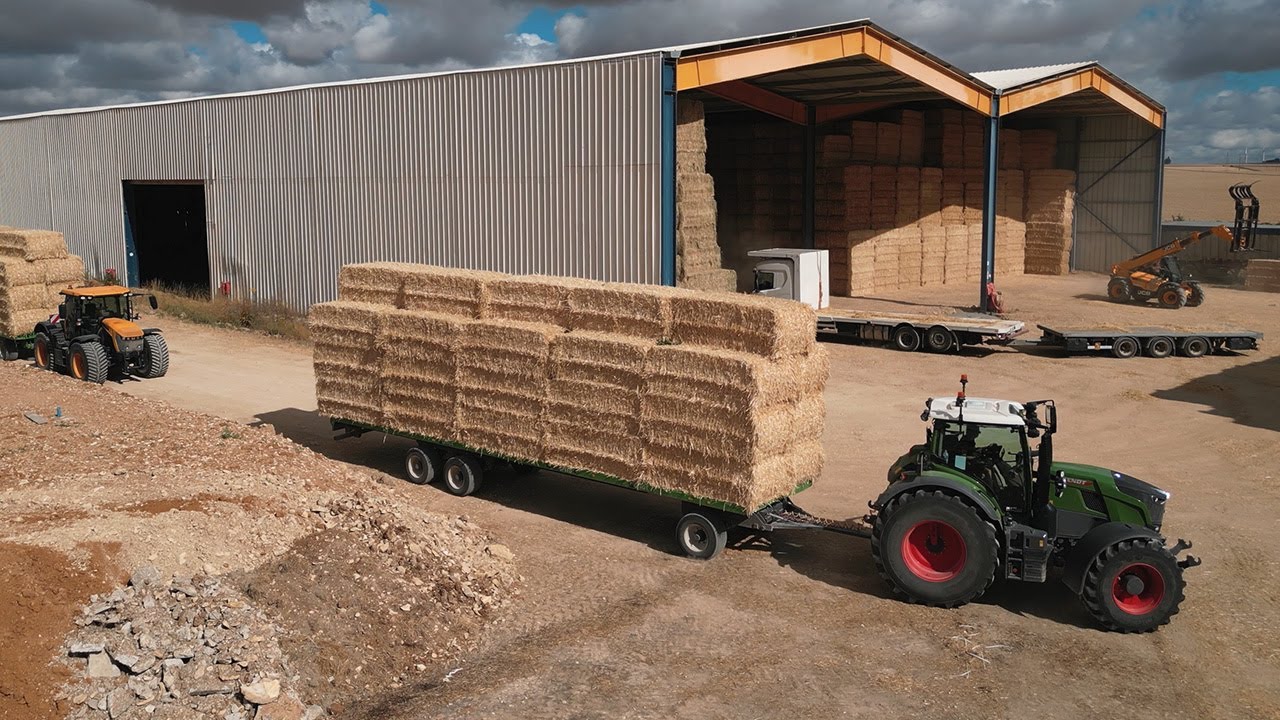 PAILLE D’ORGE 🌾 [Saison de paille 2025]