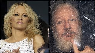 A Guide To The Eccentric Cast Of Characters Surrounding Julian Assange