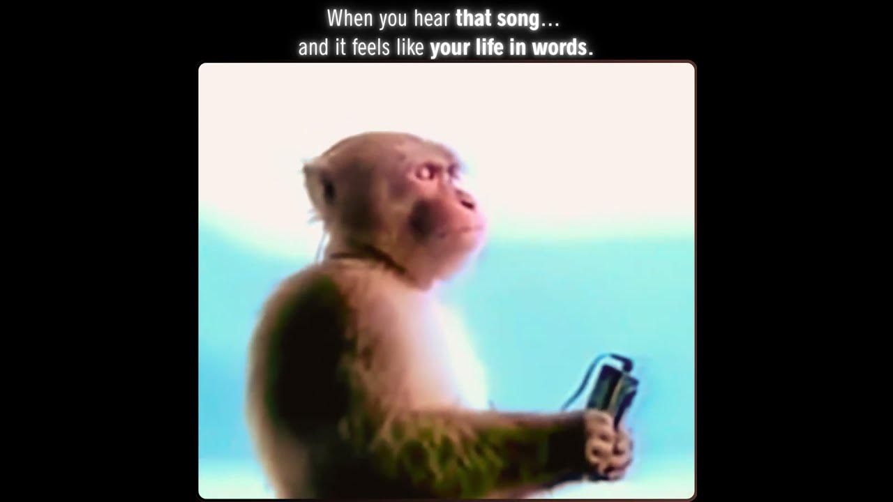The moment you hear that song... Lyrics know your feelings. #emotions #music #shorts
