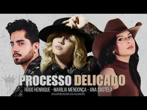 Hugo Henrique, Marília Mendonça, Ana Castela - Processo Delicado (IA)