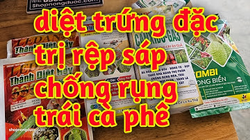 Hd236.Thuốc diệt trứng và trị rệp sáp chống rụng trái trên cây cà phê