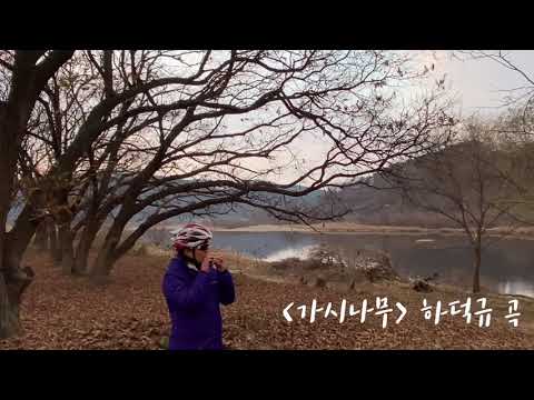 가시나무 (하덕규 곡, 조성모 노래) OHYE, 자탄 오카리나 여행 SG 연주