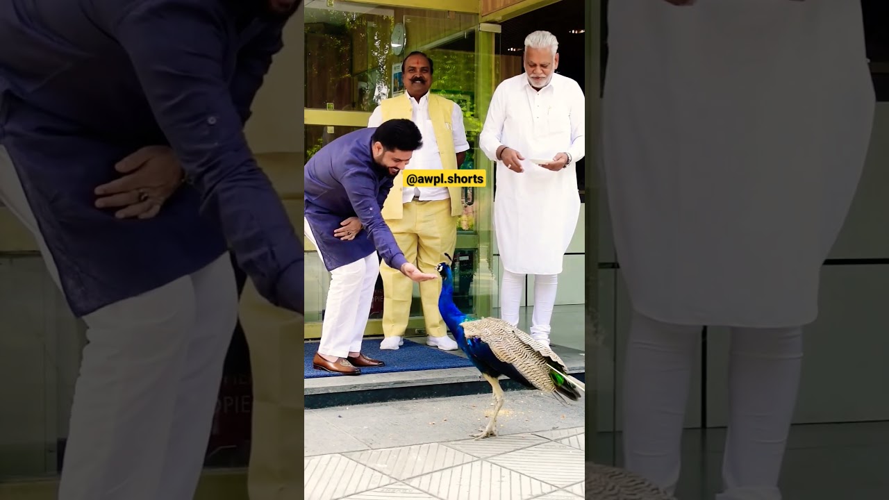 CEO Sanjeev Kumar Awpl 🦚 | 