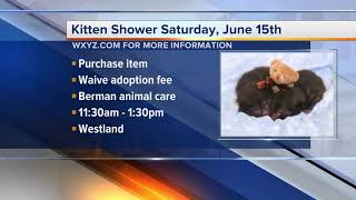 Michigan Humane Society hosts kitten shower for orphaned kitties