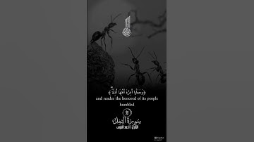 [سورة النمل: 34]
