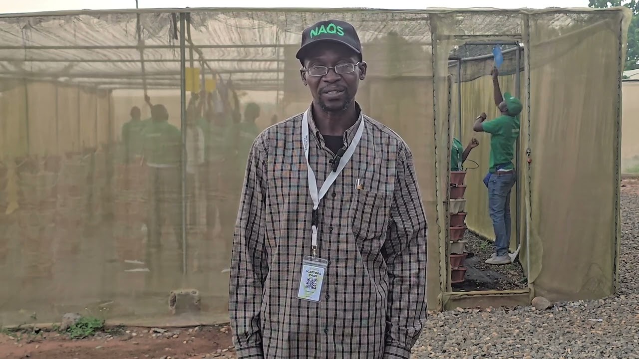 Why Nigerian farmers should export vegetables