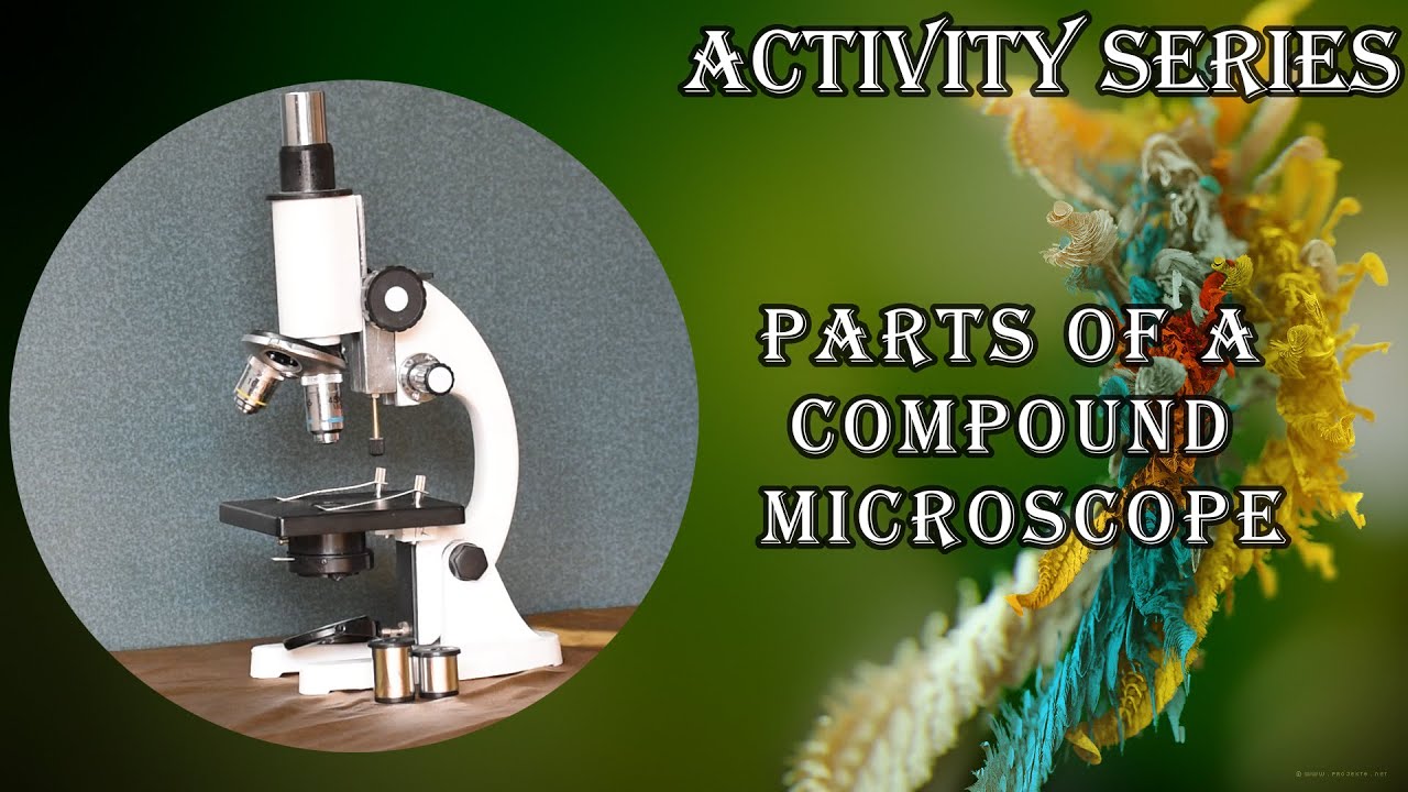 Parts of Microscope | Class 9 Science The Fundamental Unit Of Life