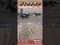【東京大賞典】単勝77.3倍の地方馬ディクテオンが単勝1.5倍ミッキーファイトを差し切りG I制覇！　#競馬  #東京大賞典  #ディクテオン  #矢野貴之  #shorts