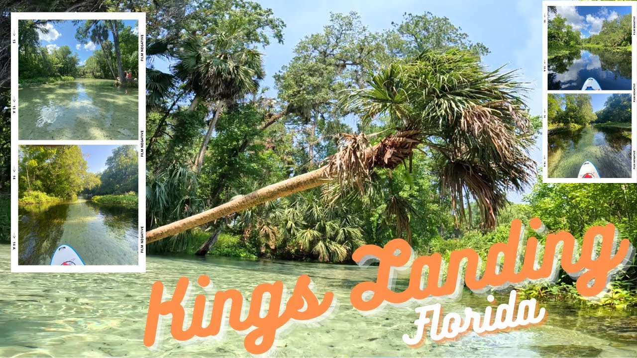 Kings Landing Paddle Boarding, Florida florida paddleboarding usa 