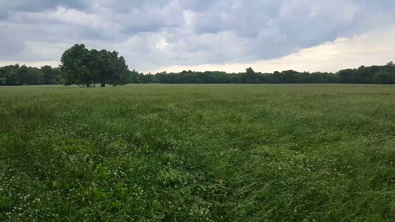 The wind and the hay field💓