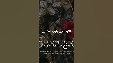 #تلاوة_خاشعة #اكسبلور #الرحمن #لايك #المراه #السعودية #دويتو #الظروف #snake #ترند #المغرب #العراق