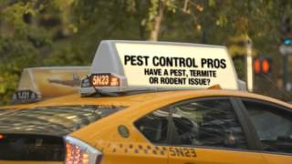 Pest Control Hialeah Fl-(888) 458-0008