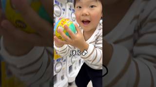 【3歳3ヶ月】パンどろぼうのガチャ🍞✨何が出るかな♪ #shorts
