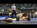 NCAA DII Wrestling Championships - Nick Mason (Tiffin)