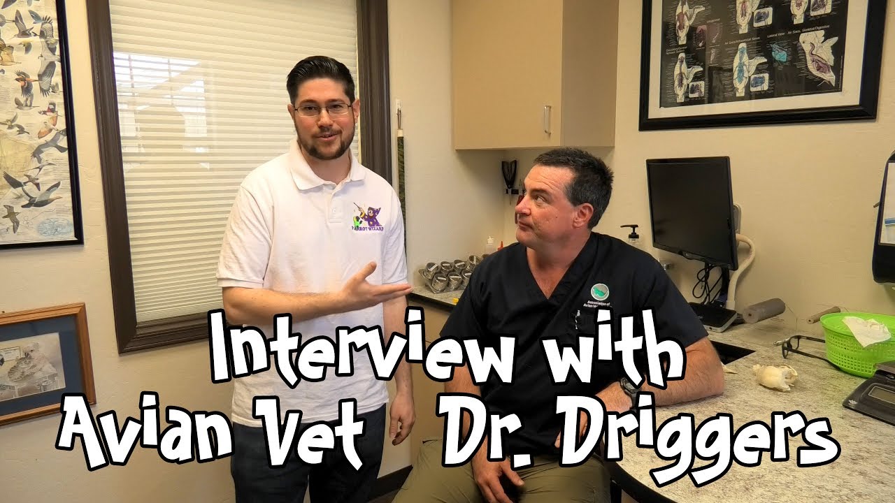 dr driggers vet