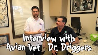dr driggers vet