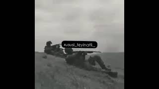 Xususi Teyinatlı Quvvələr