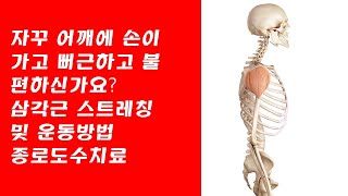 전면,후면 삼각근 스트레칭 및 운동방법 - 종로도수치료