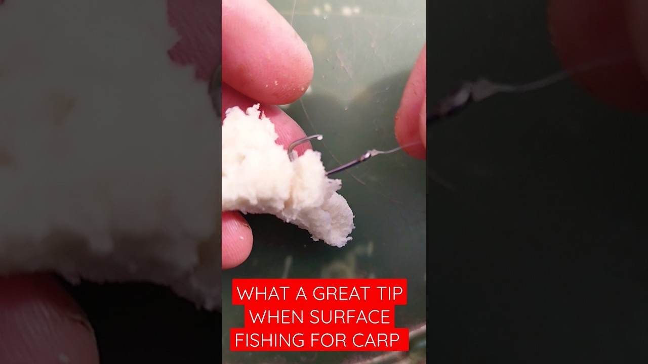 Use these latex bands when surface fishing for carp😱 