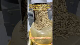 400-type feed pelletizer with 45 kW purecopper standard motor #granulator