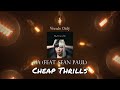 Cheap Thrills Vocals Only Acapella Sia Feat Sean Paul