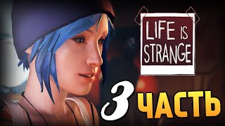 Life is Strange - Эпизод 1: Хризалида #3