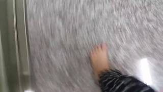 2017-0530-蓉(2)