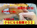 [※閲覧注意]タコ・魚の目の痛みを取る効果的な方法！クセになる動画#02