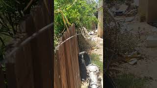 For 43756 La Paz Ln, Lancaster, CA   Video #1