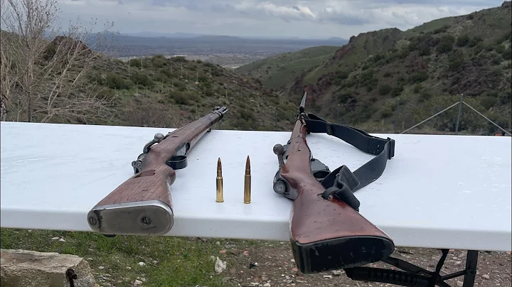 Mauser vs Mosin , 8mm vs 762x54r