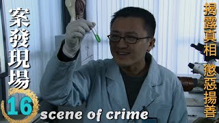 Scene of Crime Ep16 Wang Zhifei & Yan Shikui decrypt a shocking case together!Who's the real culprit