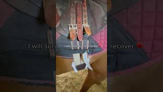 Too 10 Biggest Annoyances