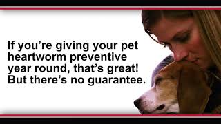 The Test Your Pet Should Take