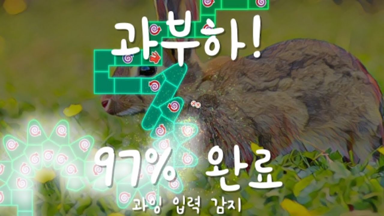 토끼 97%%%%%%%%%%%%%%%%%% - YouTube