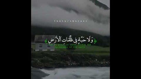 (وعنده مفاتح الغيب لا يعلما إلا هو ويعلم مافي البر والبحر وما تسقط من ورقة)ادريس ابكر_سورة الانعام