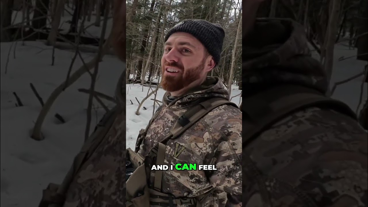 Hunting The Ghost Buck: Potential in the Snowy Woods! #shorts