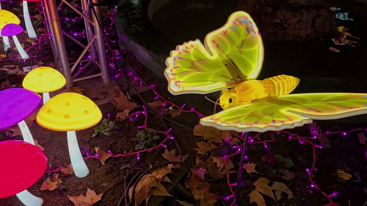 NAVIDAD ILUMINADA  EN LOS JARDINILLOS