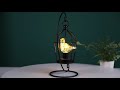 JHY DESIGN Birdcage Bulb Decorative Lamp Practical use demonstration video