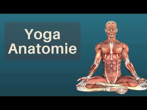 Einführung in die Anatomie aus Sicht des Yoga | Marcel Anders Hoepgen |  anatomie lernen