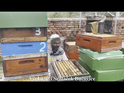 Video: Historie Včelařství Od Včelařství Po Rámový úl