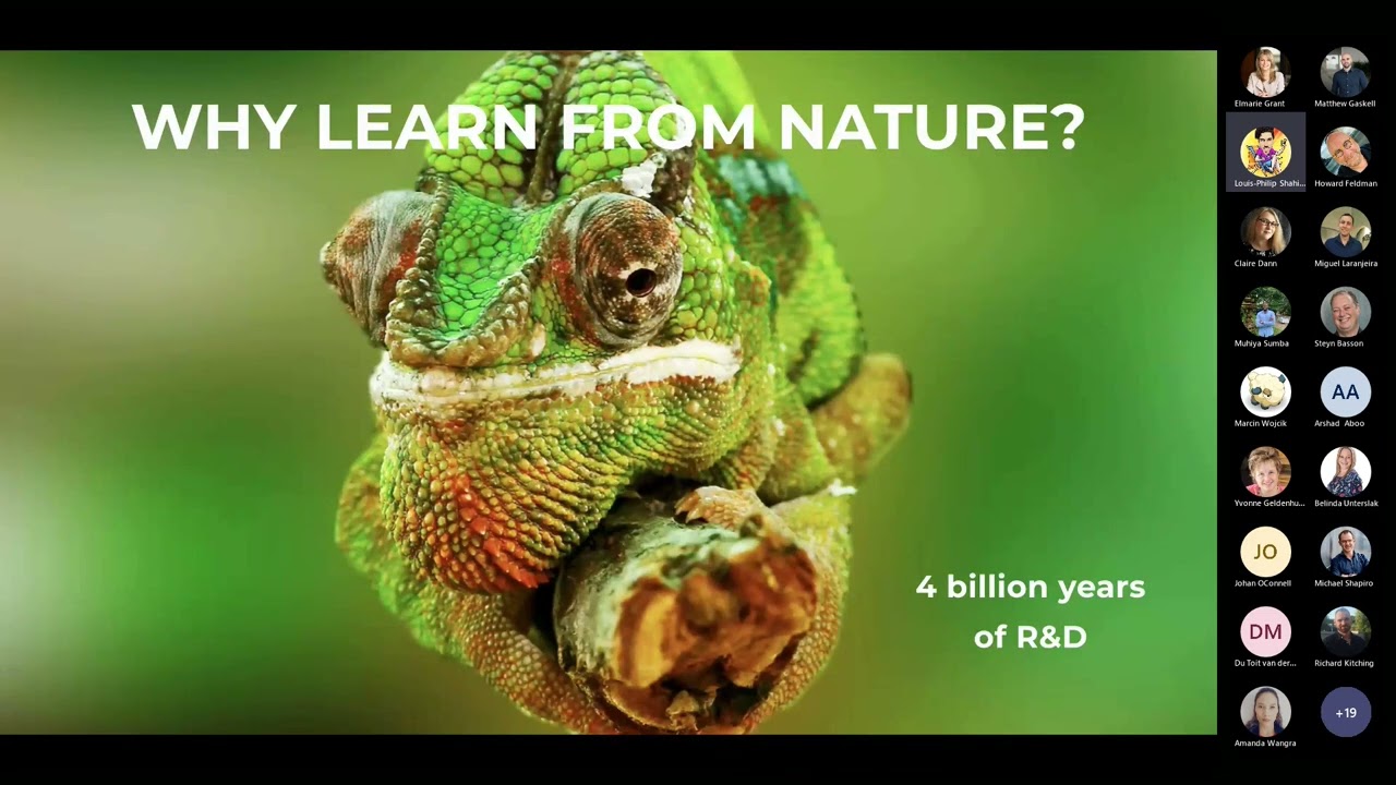 What biomimicry can teach us with Claire Janisch