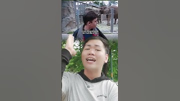 Đâu là video đầu tiên trên Youtube ? #shorts