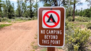 Sign Of The Times Nomad Life August 11 2026