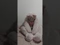 trapped in a onepiece teddybear plushsuit (lockable)